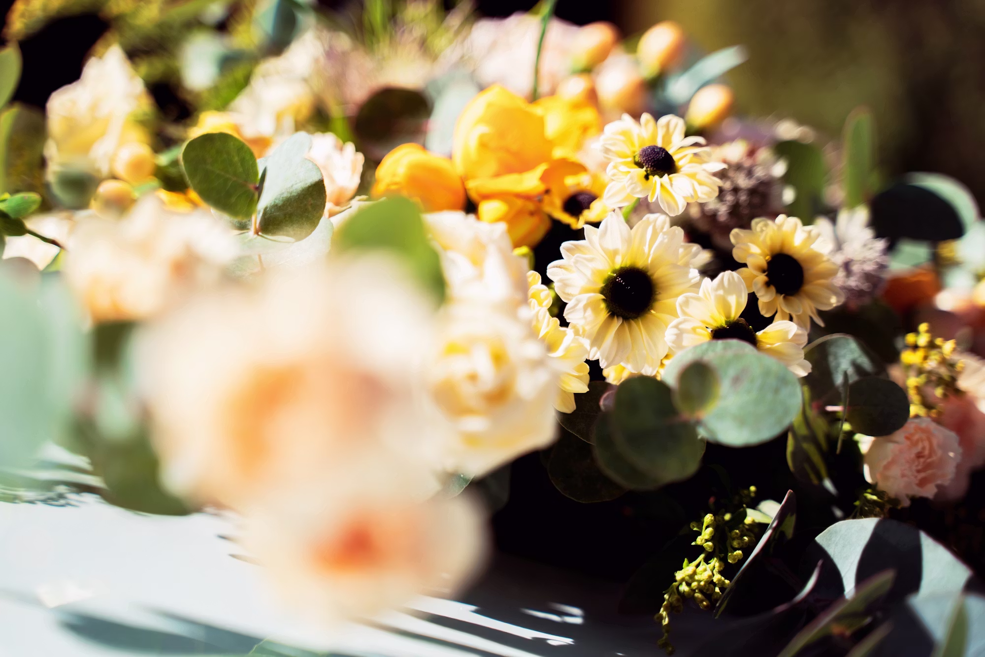 Crafting Memorable First Dates: Ideas for Success